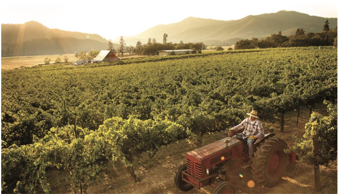 History Lesson: Oregon’s Rogue Valley Wine